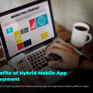 Hybrid mobile app